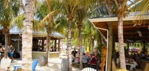 outdoor bar with palm trees