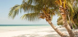 white sandy beaches